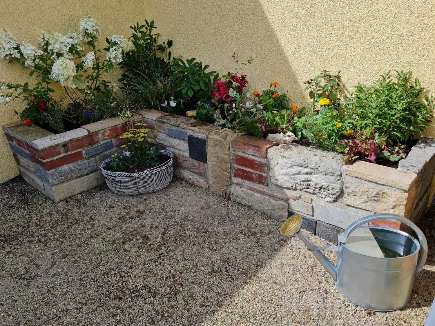 Gartenblume von Schirmer Gartenträume GmbH